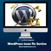 WORDPRESS ISSUE FIX SERVICE