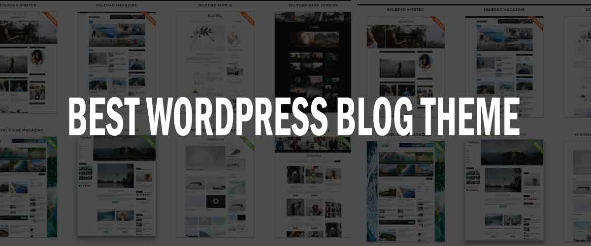 Best WordPress Blog Theme