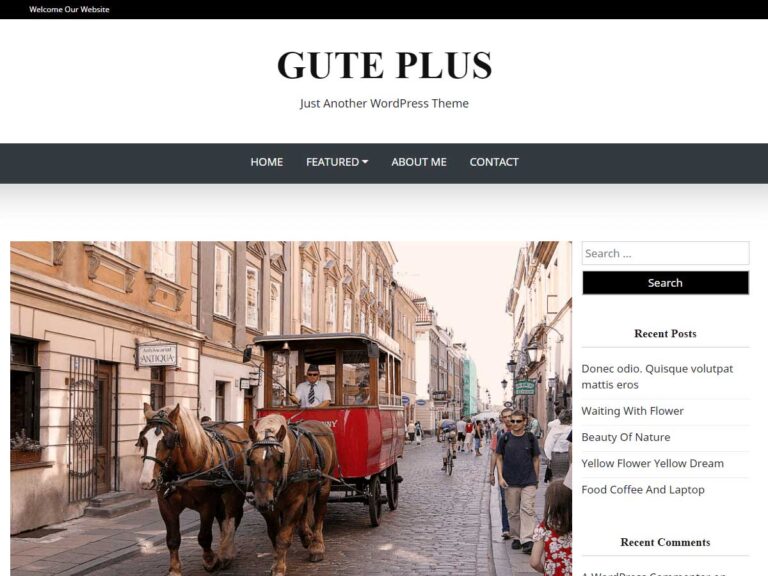 Gute plus