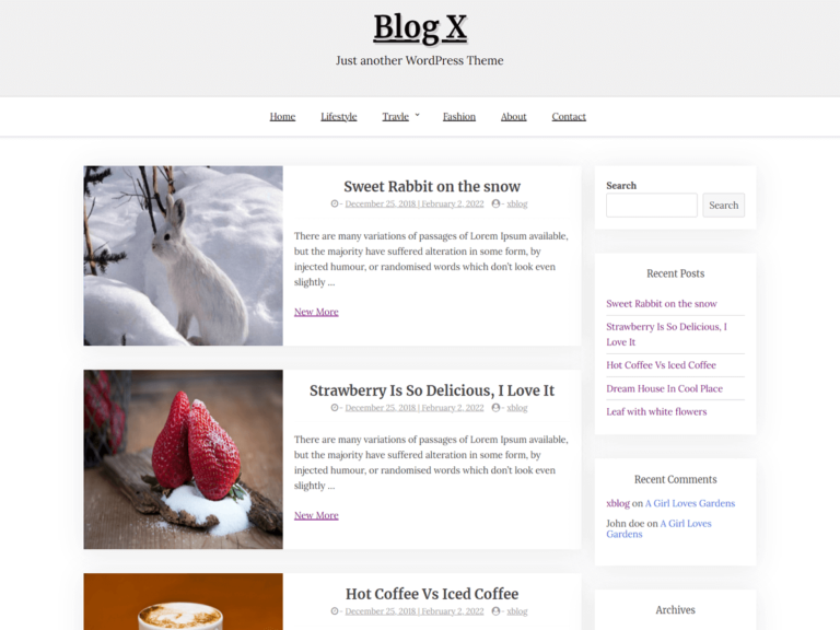 BlogX WordPress Theme
