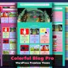 Colorful Blog Pro Theme