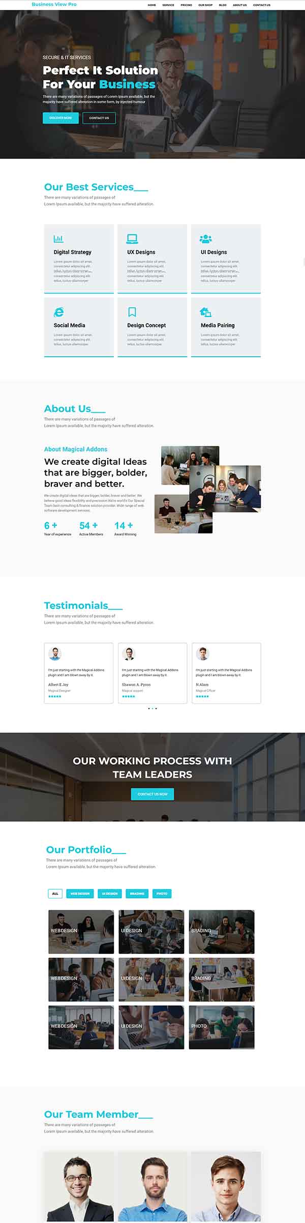 Business View Pro Home Page demo