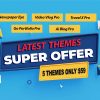 latest Theme Offer